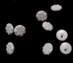 Gumbi 1,2cm img_20201128_174425